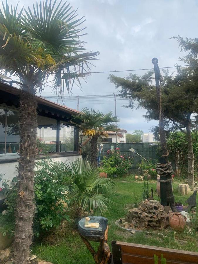 La Doi Pasi De Mare Hotel Vama Veche Luaran gambar