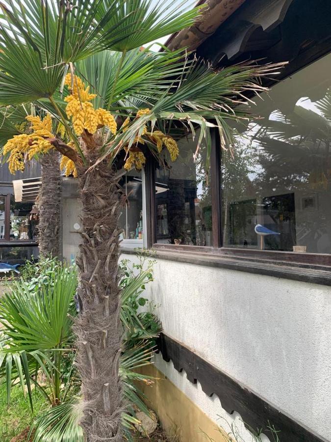 La Doi Pasi De Mare Hotel Vama Veche Luaran gambar