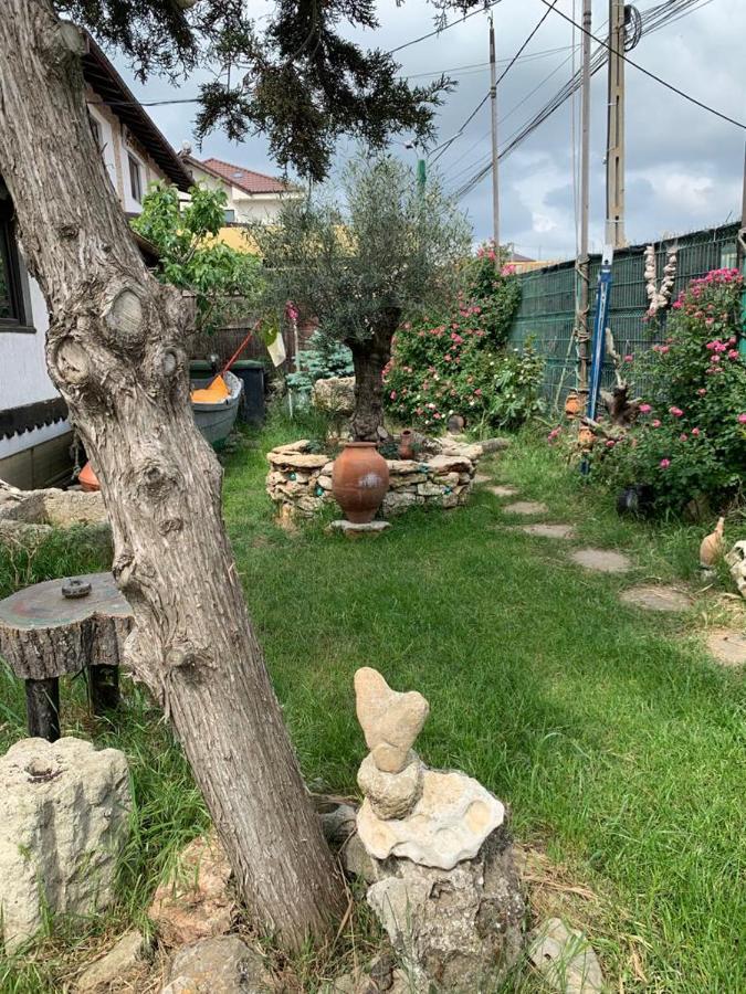 La Doi Pasi De Mare Hotel Vama Veche Luaran gambar